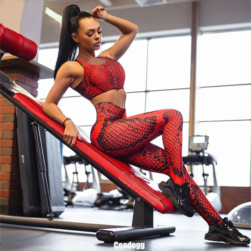 Red Python Snake skin Leggings with Crop top  NEW IN STORE! Klarna Pay  Available – Baller Babe Active Wear