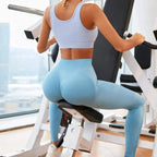 blue seamless womens leggings wide band waiste australia